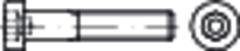 DIN 6912 Edelstahl A4 M10x55 HP REYHER